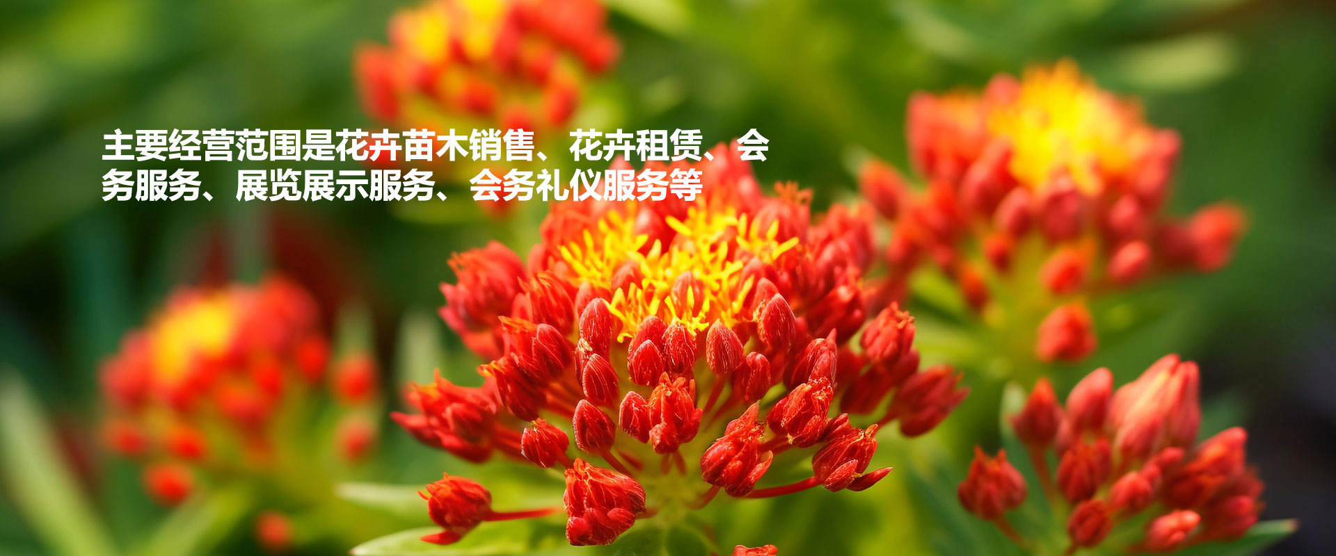竹羊床