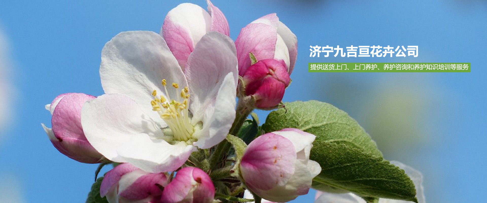 羊床漏糞板